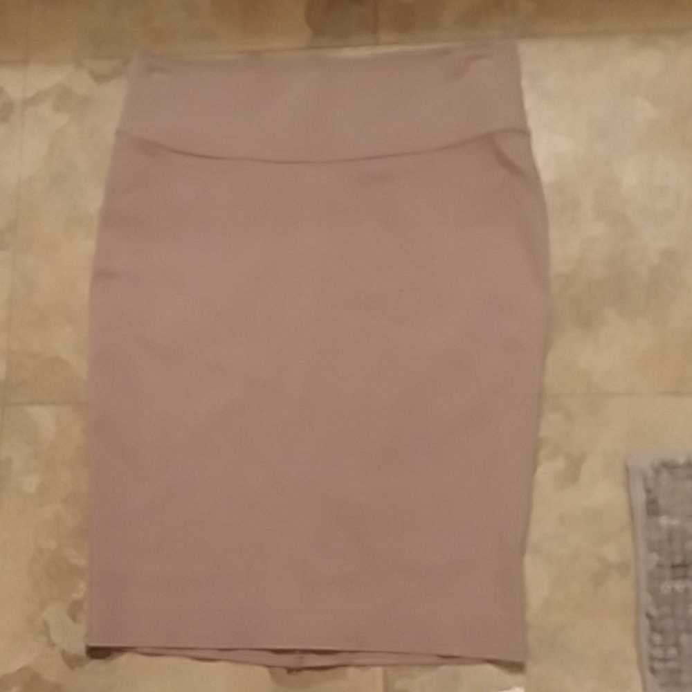 Tan Pencil Skirt